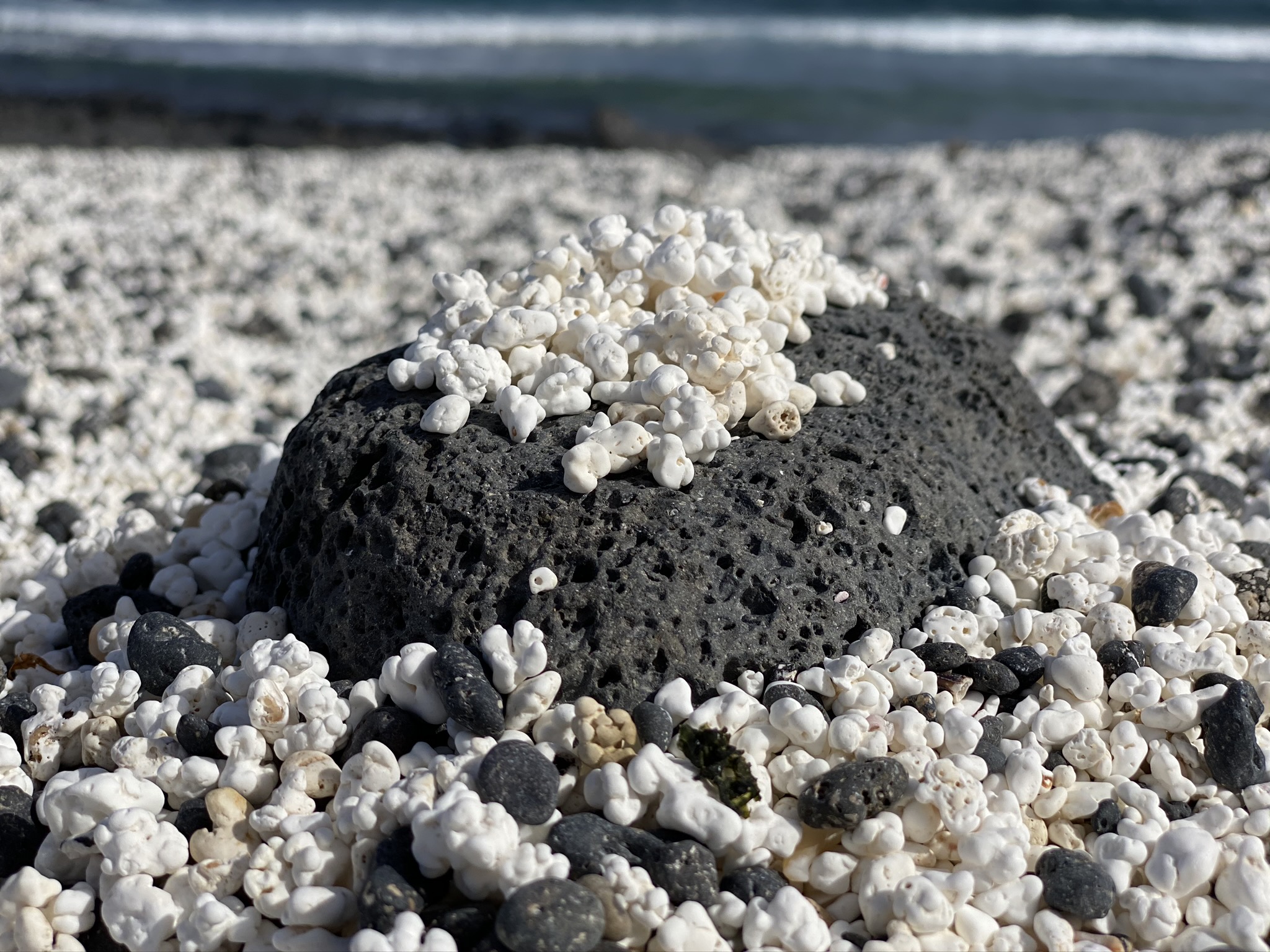 Popcorn Beach am Playa del Bajo de la Burra - Fuerteventura